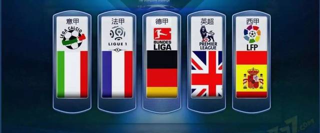 浙江队的 浙江队的